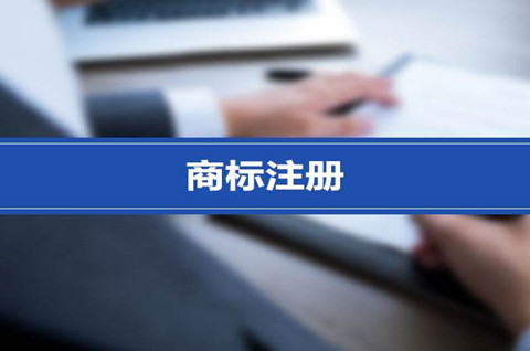 商标申请中是否允许使用商标注册