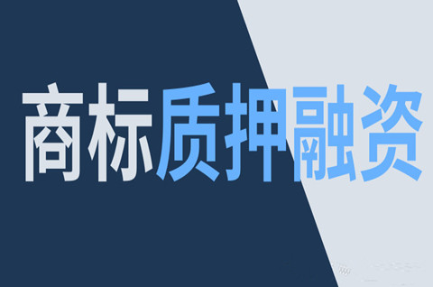 江门市2023年专利商标质押金额超199亿元