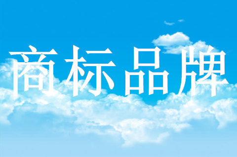 向海金融城商标品牌指导站正式揭牌成立
