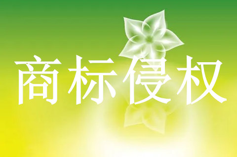 抢注中文域名会导致商标侵权吗