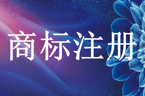 商标在注册申请中可以使用吗