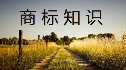 河北定州市市场监管局为大鹿庄辣椒种植户开展商标培训