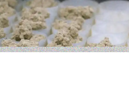 “蕲艾”地理标志证明商标获批推动产业迈向新阶段