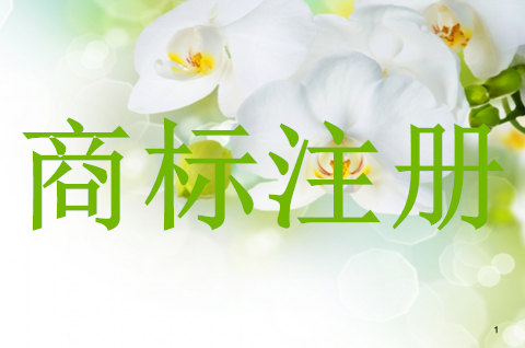 我国商标注册的基本原则有哪些