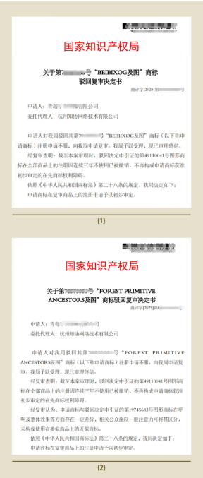 商标成功案例丨两件英文商标被驳回，助力复审成功！