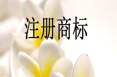 如何确定自己的商标能不能注册