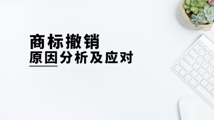 这些原因可能导致你的商标被撤销！